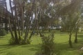 A local Gardener tending to the gardens of the Meridian Hotel in Port Gentil