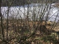 IMG_7203 New England winter landscape with small trees and snow covered pond ÃÂ©2022 Paul Light Royalty Free Stock Photo