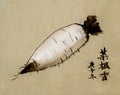 Imitate classical Chinese old paintings with brush and ink on old old paper, radish Royalty Free Stock Photo