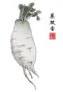 Imitate classical Chinese old paintings with brush and ink , radish Chinese translation: contented greens are delicious