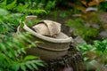 An imitation of ancient Greek ceramics in the garden. Royalty Free Stock Photo