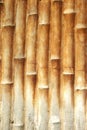 Imitation bamboo wall background