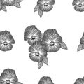 Imitation embroidery viola flower abstract seamless pattern, hand drawing black lines flowers on white background, editable vector