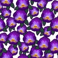 Imitation embroidery viola flower tropical seamless pattern, hand drawing colorful flowers on white background, editable vector Royalty Free Stock Photo