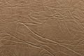 Beige faux leather with large embossing. Texture for background and design.