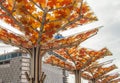 Imitation tree, artificial maple tree with yellow and orange leaves, street decoration, Moscow city, Russia