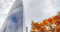 Imitation tree, artificial maple tree with yellow and orange leaves, street decoration, Moscow city, Russia