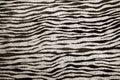 Imitation zebra leather texture background