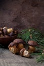 Imleria Badia or Boletus badius mushrooms commonly known as the bay bolete and clay bowl with mushrooms on vintage wooden