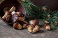 Imleria Badia or Boletus badius mushrooms commonly known as the bay bolete and clay bowl with mushrooms on vintage wooden