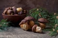 Imleria Badia or Boletus badius mushrooms commonly known as the bay bolete and clay bowl with mushrooms on vintage wooden