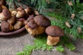 Imleria Badia or Boletus badius mushrooms commonly known as the bay bolete and clay plate with mushrooms on vintage wooden