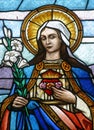 Immaculate Heart of Mary Royalty Free Stock Photo