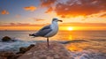 Immaculate Perfectionism: A Seagull Perched On A Rocky Surface Royalty Free Stock Photo