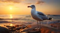 Immaculate Perfectionism: A Seagull\'s Understanding In Soft Light