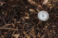 Immature compost managed in a community composter with one thermometer to control the process. Concept of recycling and Royalty Free Stock Photo
