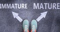 Immature and mature as different choices in life - pictured as words Immature, mature on a road to symbolize making decision and