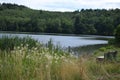 Immenrather Maar with a park bench at the reed grass belt end