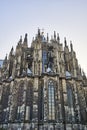 Immense amount of spires of Cologne Cathedral reaching towards the sky