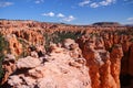 The immense hoodoos field captured from sunset point in Bryce Canyon National Park Royalty Free Stock Photo