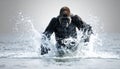Dominant Silverback Gorilla Charging Through Water Royalty Free Stock Photo