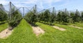 Immenstaad - Lake Constance, Baden-Wuerttemberg, Germany, Europe Royalty Free Stock Photo