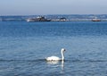 Immenstaad - Lake Constance, Baden-Wuerttemberg, Germany, Europe