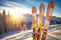 Skiing Serenity: Skis in the Snow