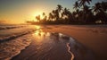 Golden Horizons: A Captivating Low Angle View of a Beach at Sunset