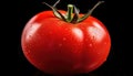 Nature\'s Ruby: Closeup of Tomato Isolated on Black Background