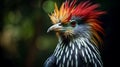 Exquisite Avian Beauty: Capturing the Most Stunning Indonesian Island Bird in a Mesmerizing Image.