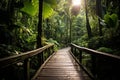 Enchanting Rainforest Oasis: Serene Pathway Amidst Lush Greenery
