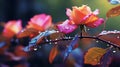 Vibrant Autumn Florals: Enchanting Nature, Rainbow Hues & Dreamy Raindrops. Royalty Free Stock Photo