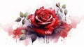 Vibrant Red Rose Illustration: Capturing Assertiveness and Passion on a Clean White Background.