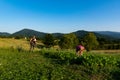 Harmonious Harvest: Farmer and Woman Tending to Nature\'s Bounty at Sunset