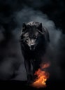 Fantasy wolf - fire, flames, ashes, smoke, embers, mist, fog - black mysterious wolf werewolf Royalty Free Stock Photo