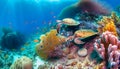 A vibrant and diverse coral reef - Generative AI Royalty Free Stock Photo