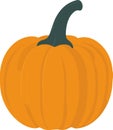 Cheerful Pumpkin: A Simple and Minimalist Cartoon Illustration of a Realistic Pumpkin