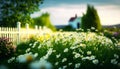 A Dreamy Morning in the Daisy Fields. Generative AI