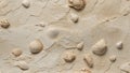 Seashell Elegance: Limestone Fossil Background. AI generate Royalty Free Stock Photo