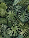 Tropical Elegance A Botanical Symphony of Vibrant Colors and Intricate Patterns in Tropical Plant Leaves