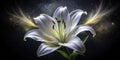 A Surreal TimeLapse Journey Witnessing the Exquisite Blooming of a White Lily in Stunning Detail Against a Dramatic Royalty Free Stock Photo