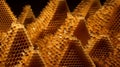 The Extraordinary Triangular Honeycombs of Stingless Bees