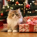 Feline Festivities: Cute Kitty Enjoys Christmas Gifts by Twinkling Tree
