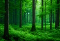 Green Forest, Nature Loving, Fight Global Warming, Save Planet Earth