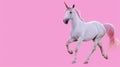 Enchanted Elegance: Whimsical Unicorn in a Pastel Pink Wonderland