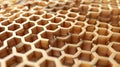Hexagonal Harmony: Captivating Honeycomb Geometric Structure