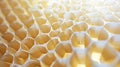 Hexagonal Harmony: Captivating Honeycomb Geometric Structure