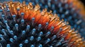 Magnetic Splendor: Exploring Macro Details of Ferrofluid\'s Colorful Gradient