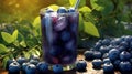 tangy blueberry juice on a rustic wooden table Royalty Free Stock Photo